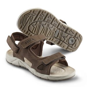 Motion Brown