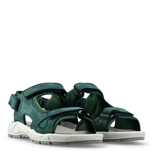 Motion Green